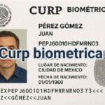 México se prepara para un nuevo documento de identificación: La CURP biométrica será obligatoria para trámites oficiales